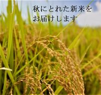 【定期便】令和5年産 米 5kg 6ヶ月 京都丹波産 コシヒカリ 白米＜JA京都 たわわ朝霧＞ 6回定期便 5kg×6回 計30kg 毎月発送に合わせて精米