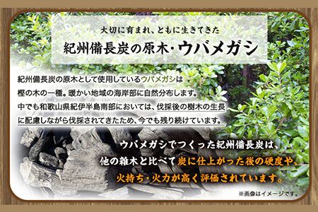 紀州備長炭 馬目荒 約15kg 株式会社紀 《30日以内に出荷予定(土日祝除く)》 和歌山県 日高川町 備長炭 炭 プロの 料理人 愛用---wshg_hjm4_30d_23_55000_15kg---