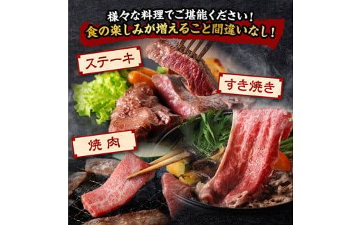 【全4回】宮崎牛　ヘルシー赤身定期便【 肉 牛肉 国産 黒毛和牛 宮崎牛 全4回 焼肉 しゃぶしゃぶ 焼きしゃぶ BBQ 宮崎県 川南町 】 [C11402t4]