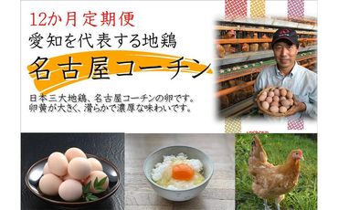 【12か月定期便】日本三大地鶏！！ 「純系　名古屋コーチンの卵」（30個） 本当に美味しい食べ物は調味料の味に負けません！ EE28 air