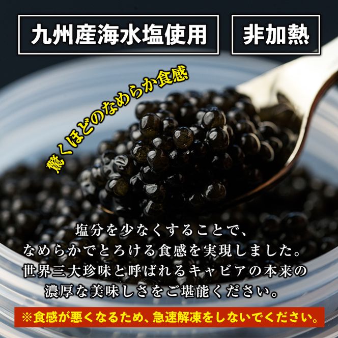 F3-01 純国産フレッシュキャビア(計60g・15g×4種類)＆チョウザメ生スモーク(200g)セット！【小田原養魚】