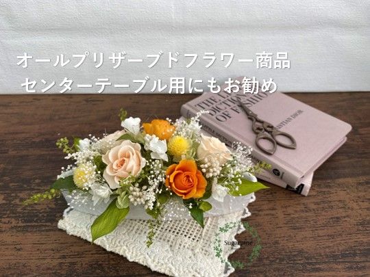 yʌtszAJ069-1 vU[uht[AWy~j/t[eBIWzts VK[pC