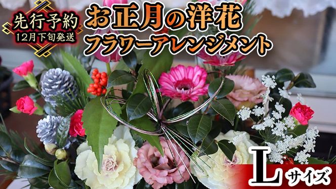 【 お正月 の お花 】 洋花 ＊ フラワー アレンジメント L お正月 花 生花 縁起物 フラワーアレンジメント ギフト [CT053ci]