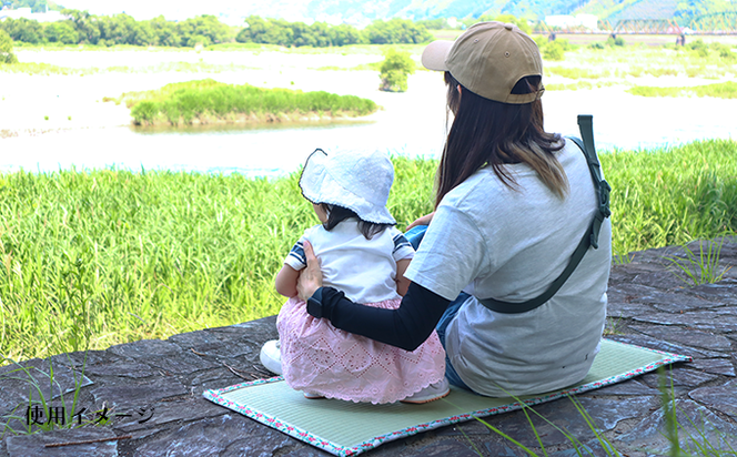 畳いけうえ　ラブござ（くじら柄）