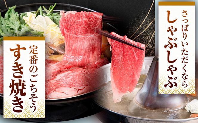 くまもと黒毛和牛 ウデ・モモスライス 500g ～ 2000g 牛肉 冷凍 《30日以内に出荷予定(土日祝除く)》 くまもと黒毛和牛 黒毛和牛 冷凍庫 個別 取分け 小分け 個包装 モモ スライス 肉 お肉 しゃぶしゃぶ肉 すきやき肉 すき焼き---mna_fudmm_30d_24_8500_500g---