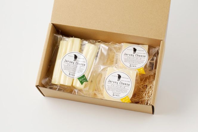 【定期便】ALL JAPAN ナチュラルチーズコンテスト優秀賞受賞／丹後ジャージー牧場の濃厚チーズセット6種（2種×3回定期便）フロマージュ・カチョカバロ・モッツァレラ・リコッタ・ストリング・ゴーダ　TJ00011