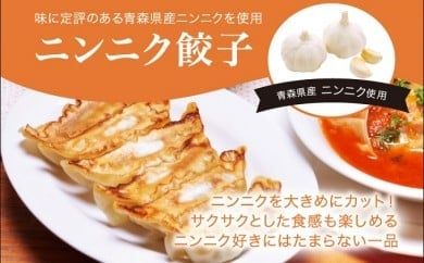 「宇都宮餃子館」ニンニク餃子 960g(48個)≪ギョーザ 冷凍餃子 冷凍食品 グルメ 食品 惣菜 中華惣菜 点心 中華≫◇