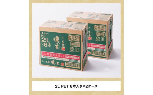 おーいお茶 濃い茶 2L×6本×2ケース PET【9ヶ月定期便】 [F7339t9]