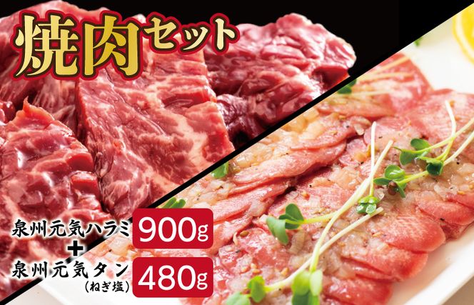 099H2276 大人気 ファミリー向け 焼肉セット 牛たん 牛ハラミ肉 総量1.38kg