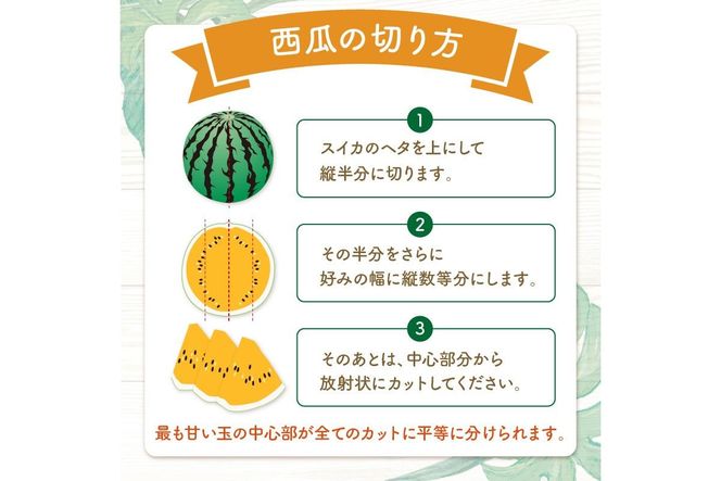 【先行予約／数量限定50】夕日ヶ浦すいか（金色羅皇） 1玉（2026年7月中旬～発送）　国産 スイカ すいか 西瓜 2024フルーツ ふるーつ 果物 くだもの 農家応援 生産者応援 JK00042