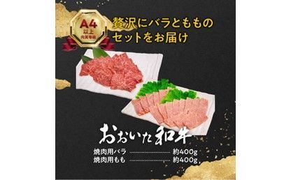 【A01119】おおいた和牛バラ・もも焼肉用　合計約800ｇ
