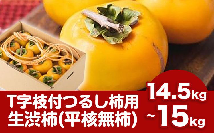 [2026年先行予約]T字枝付つるし柿用生渋柿 14.5〜15kg ふるさと農園[10月中旬-11月上旬頃より出荷予定]---wsh_fst5_p1011_23_50000_15kg---