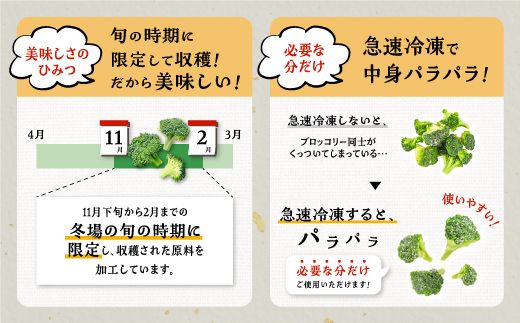 鹿児島県産　冷凍ブロッコリー　200g×10パック【BZ004】