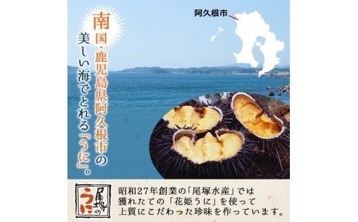＜鹿児島県産うに使用＞うにみそ(計3瓶・各50g)国産 雲丹 ディップ おかず おつまみ 雲丹味噌 うに味噌【尾塚水産】akn004-15