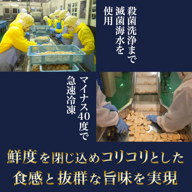 2024年とれたてを急速冷凍 北海道猿払産　冷凍ホタテ貝柱「数量限定特サイズ（玉不揃い・若干の欠けあり」　1kg【0104402】