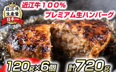 近江牛１００％　プレミアム生ハンバーグ　720g（約120g×6個）【FO18SM】