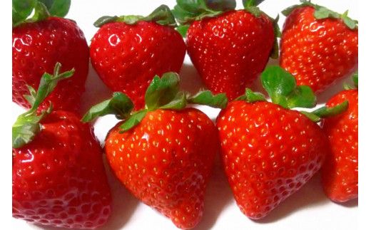 【期間限定発送】CG068 長崎県知事賞受賞【 大玉 いちご 】「 恋みのり (3L～5L)」265g×4パック ＜12月までにお届け＞