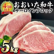 おおいた 和牛 サーロイン ブロック (5kg) 国産 豊後牛 ステーキ BBQ バーベキュー 惣菜 やきにく おかず 百年の恵み 大分県 佐伯市【BD192】【西日本畜産 (株)】