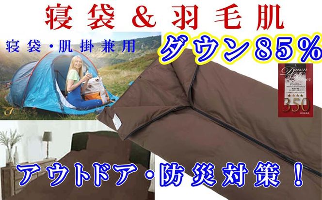 yRxm͌ΒzQ܁@Vt Hєzc WT@VOPTO×QPO AEghA hБ΍ _EPbg Hѕzc Q Hє|zc ӂƂ FAG165