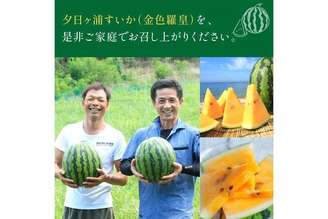【先行予約／数量限定50】夕日ヶ浦すいか（金色羅皇） 1玉（2026年7月中旬～発送）　国産 スイカ すいか 西瓜 2024フルーツ ふるーつ 果物 くだもの 農家応援 生産者応援 JK00042