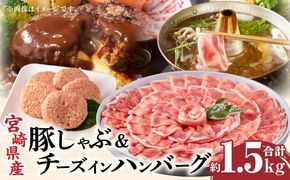 宮崎県産豚 ロース1kg&チーズインハンバーグ5個 セット_M132-039