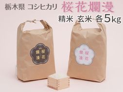 栃木県コシヒカリ 「桜花爛漫」 精米 玄米 各5kg 合計10kg 【ご飯 お米 コメ コシヒカリ 栃木県産 さくら市産】 ※北海道・沖縄・離島への配送不可 ※着日指定不可◇