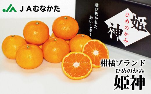 急速冷凍！冷凍みかん JAむなかた柑橘ブランド｢姫の神｣2kg 甘くておいしいみかん【JAほたるの里】_HA0269