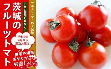 田舎の頑固おやじが厳選！トマト好きにはこれだっぺ！この時期にしかない茨城のフルーツトマト！【令和3年4月から順次お届け】 [BI35-NT]