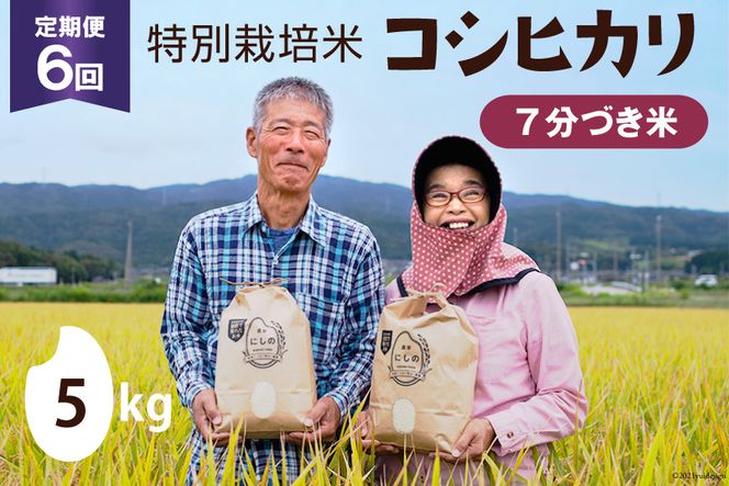 定期便 特別栽培米 コシヒカリ 7分づき5kg×1×6回 [農家にしの 石川県 宝達志水町 38600639] 米 お米 ご飯 ごはん