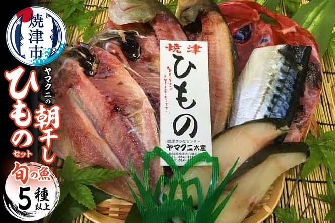 yÉĒÎsza10-431@y`hł͂zЂ̃Zbg5ȏI