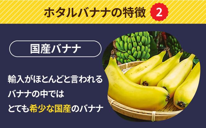【とても希少な国産バナナをあなたへ！】hotaru バナナ 5本[SFA002]