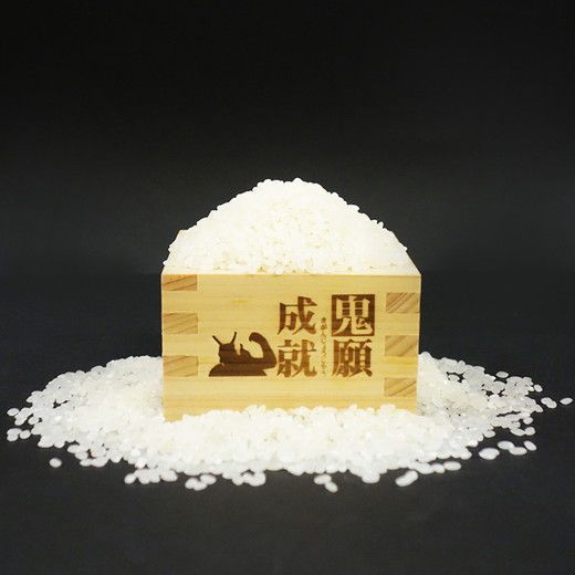 【定期便】鬼北のお米「鬼米（おにまい）」3kg×1袋 6ヶ月連続お届け＜米 コメ お米 こしひかり 定期便 ブランド米 精米 愛媛県 鬼北町＞