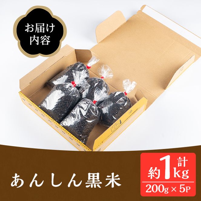 isa478《毎月数量限定》あんしん黒米(約200g×5袋・計約1kg）【しげふみファーム】