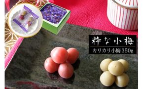 【やばいだろ】粋な小梅 30粒×15 計450粒 [山梨農産食品 山梨県 韮崎市 20742089] 梅干し 梅干 うめぼし 梅 小粒 小梅 カリカリ梅 国産 個包装