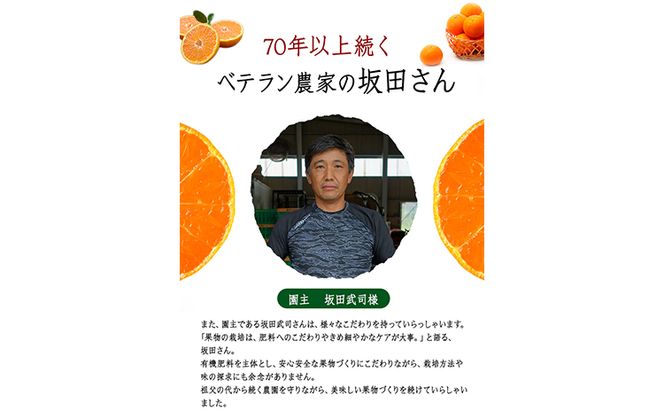  みかん 先行予約 旬【日付指定不可】 ご家庭用 訳あり 『坂田農園』 ご家庭 用 みかん 約 5kg (2S-2Lサイズ) 熊本 予約 受付中 フルーツ 秋 旬 玉東 町 濃厚 食味 ジューシー 果汁 熊本県玉東町《10月上旬-1月末頃出荷》---gkt_skt_5_5kg---