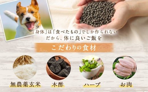 ＜1歳までの愛犬用お試しセット＞翌月末迄に順次出荷【c1065_bw_x2】