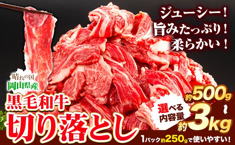 牛肉 黒毛和牛 切り落とし 500g 〜 3kg [30日以内に出荷予定(土日祝除く)] 岡山県 矢掛町 牛 牛肉 和牛 牛丼 カレー 小分け 小分けパック 250g 送料無料---ofn_fokwx_30d_24_9000_5---