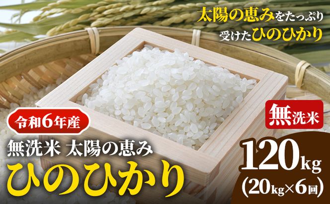 【令和6年産 予約受付】無洗米 岡山県産 ひのひかり 笠岡産 120kg(20kg×6回)《10月下旬-9月下旬頃出荷》農事組合法人奥山営農組合 太陽の恵み---O-06_120k_無洗米---