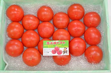 C3富士の恵たっぷりフルーツトマト 金太郎トマト1箱（約3kg)