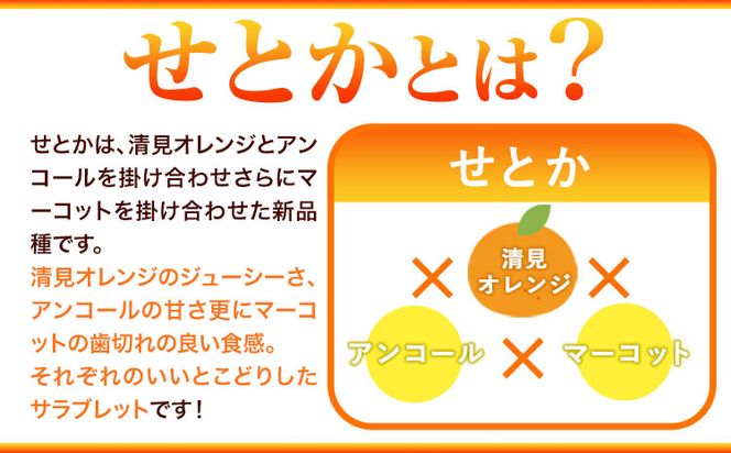 とろける食感!ジューシー柑橘 せとか 約3kg 魚鶴商店 《2026年2月下旬-3月下旬頃出荷》 和歌山県 日高町 みかん 柑橘 果物 フルーツ 送料無料---wsh_uot113_2g3g_25_20000_3kg---