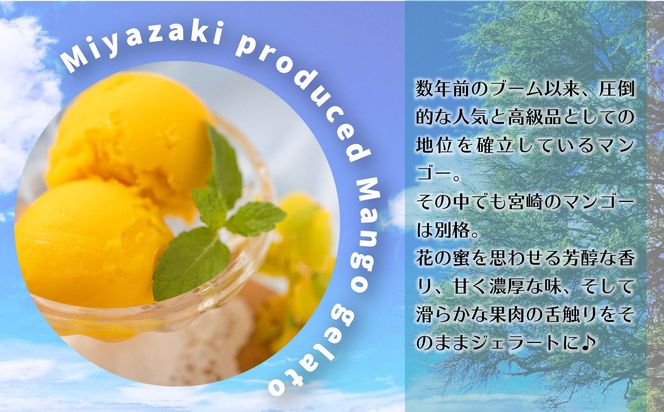 数量限定 宮崎市産完熟マンゴーで作った濃厚なマンゴージェラート(贈答用 100ml×6個)_M184-006