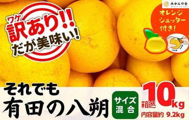 八朔 訳あり それでも 有田の八朔  (はっさく) 箱込 10kg (内容量約 9.2kg) サイズミックス B品 和歌山県産  産地直送【おまけ付き】【みかんの会】AX240