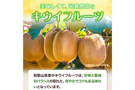 先行予約 和歌山県産 キウイフルーツ 約3.6kg 約20玉～36玉前後 前商店《2025年1月下旬-3月上旬頃出荷》キウイ キウイフルーツ フルーツ スイーツ 果物 送料無料---wsk_ucsbkui_l13_22_14000_20t---