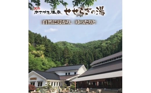 024DA01N.温泉入湯券「天然かさがた温泉せせらぎの湯」11枚綴り