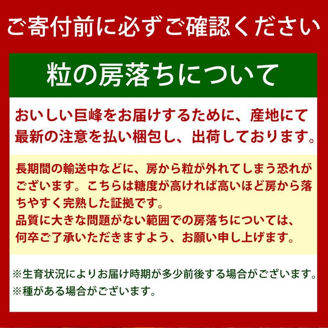 紀州有田産の巨峰ぶどう約３kg【先行予約】【2025年8月下旬以降発送予定】AN020