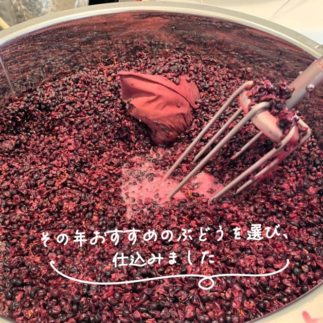 【６本セット】大船渡で造るワイン赤白 アップルシードル アップルワイン アップルジュース  おつまみ ワイン ワインセット wine wainn ボルドー チーズ グラス 国産 大船渡  辛口ワイン ギフト 贈答品 贈り物 お土産 土産 手土産 りんごジュース りんご 林檎 アップル シードル 100%[suripikusu011]