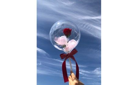 赤バラ入りシャボン玉バルーン（愛） SWAF016