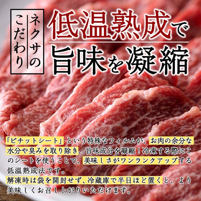 ＜先行予約受付中！2025年2月以降順次発送予定＞おおいた和牛 トウガラシ 焼肉 (300g) 国産 牛肉 肉 霜降り 低温熟成 A4 和牛 ブランド牛 BBQ 冷凍 大分県 佐伯市【DH221】【(株)ネクサ】