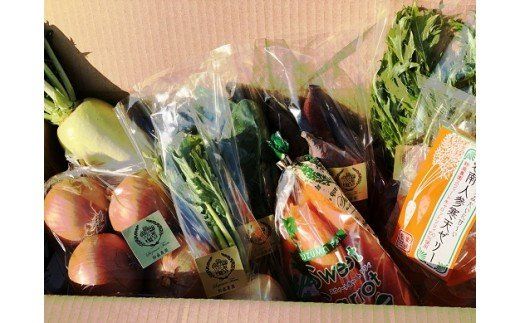 鈴盛農園”旬”の愛情野菜と碧南人参寒天ゼリー 農家直送 にんじん 甘い ゼリー 砂糖不使用 保存料不使用 着色料不使用 フルーツ スイーツ ジュース 自慢 農作物 自然 野菜 H022-011