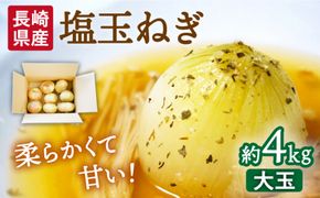 【2025年3月中旬〜発送】【柔らかくて甘い！】塩玉ねぎ（新玉ねぎ）約4kg（大玉）南島原市 / 長崎県農産品流通合同会社 [SCB055]